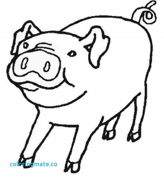 672x727 34 Pig Coloring Page