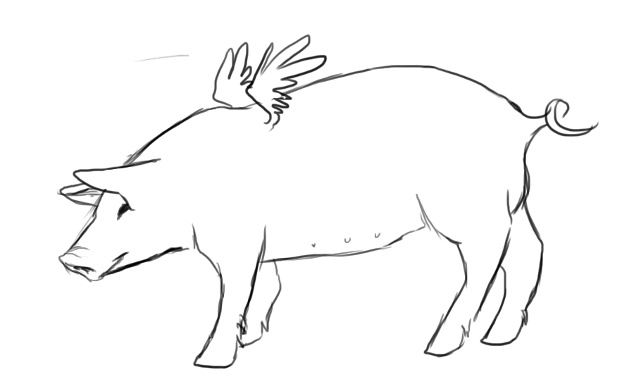 883x552 November 23rd