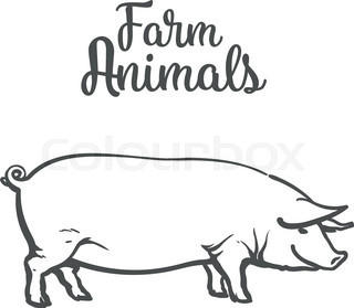 320x279 Pink Pig On A Green Background, Farm Animals Pig, Sketch Vector