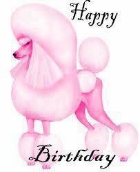 203x248 126 Best Pink Poodles Images On Poodles, Standard