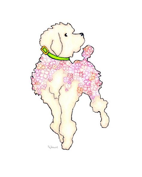 474x592 Hydrangea Poodle Lm5 Print