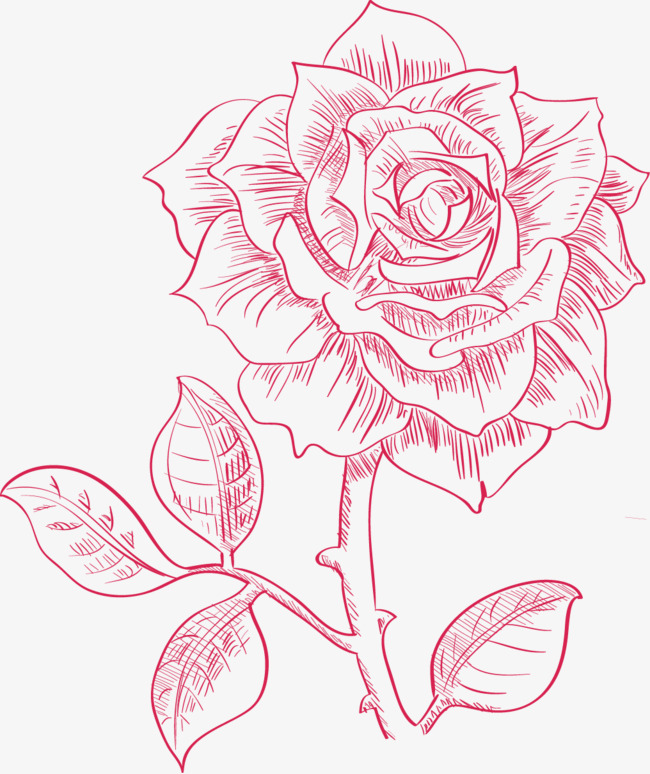 650x774 Hand Painted Roses Vector, Big Red Flower, Hand Painted Roses