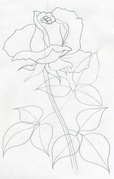 236x369 Lotus Flower Drawing How To Draw A Water Lily Step 9 Handmade
