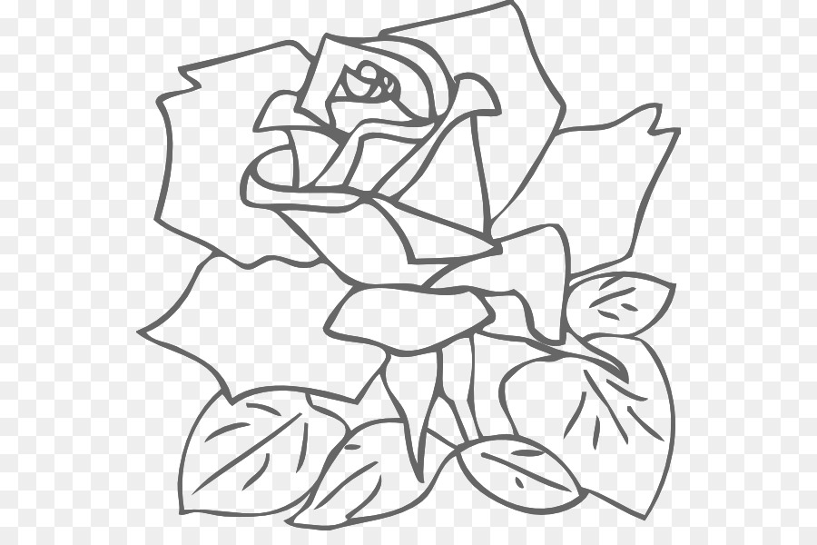 900x600 Rose Drawing Pink Clip Art