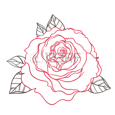 450x450 Black And White Tattoo Style Roses With Leaves Isolated On White