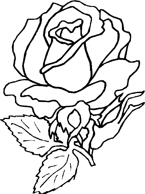 503x675 Flower Coloring Pages