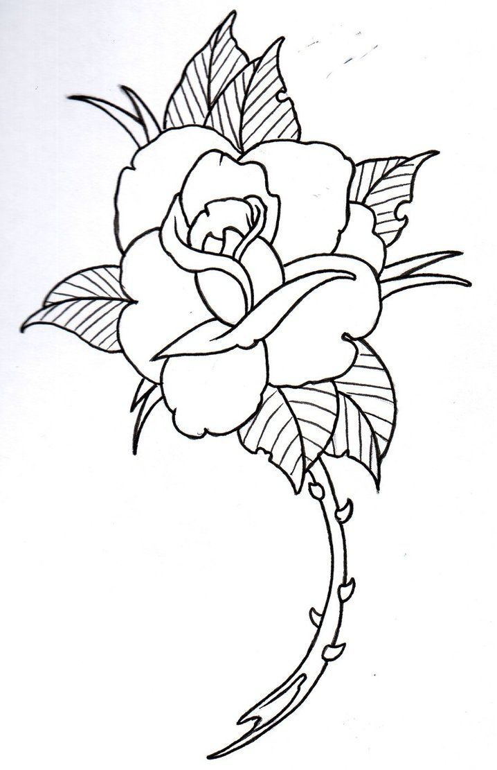718x1111 Hoontoidly Rose Drawings In Pencil Outline Images