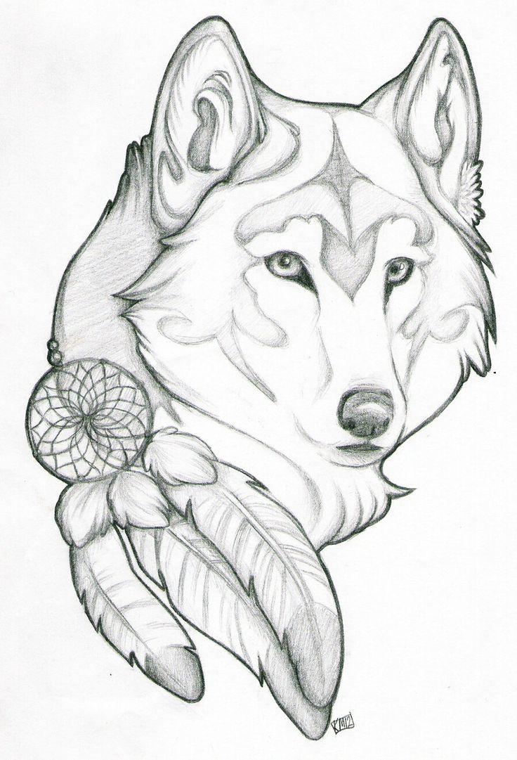 736x1081 Cool Drawing Ideas For Beginners Wolf Drawing