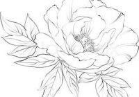 200x140 Best Images Of Sketches Of Flowers 17 Best Ideas About Flower