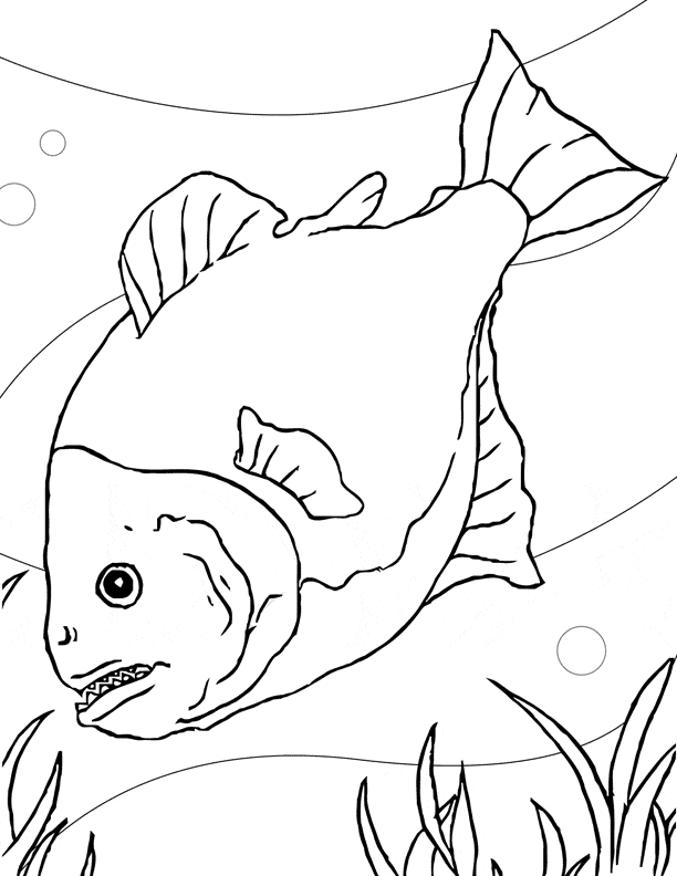 612x792 Piranha Coloring Page
