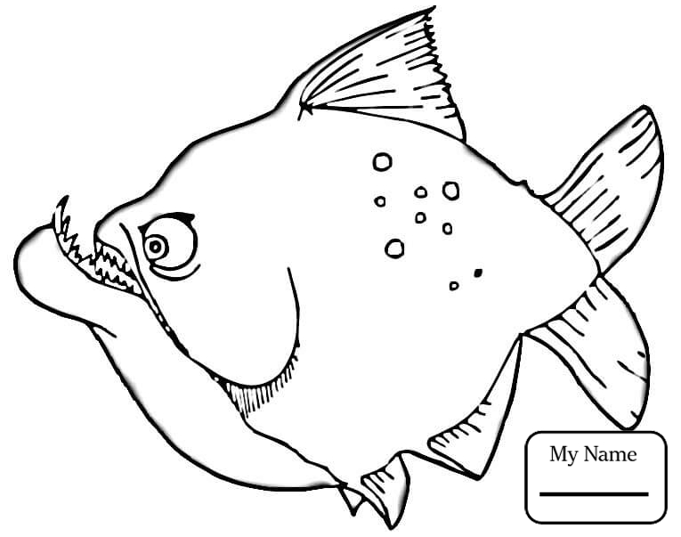 765x603 Coloring Pages For Kids Piranhas Fish Piranha