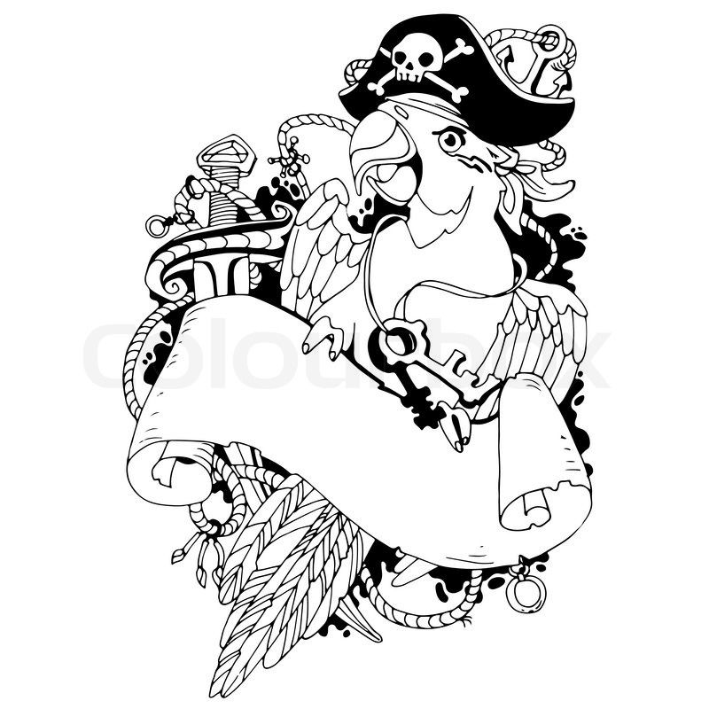 800x800 Pirate Parrot Stock Vector Colourbox