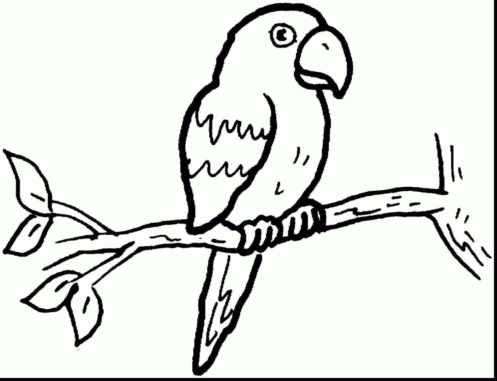 1635x1255 Fantastic Parrot Coloring Pages Printable With Parrot Coloring
