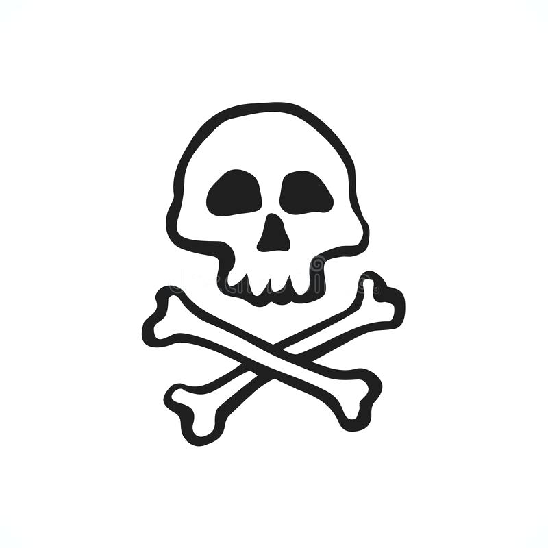 800x800 Skull And Bones Pictures Download Skull And Bones Vector Drawing