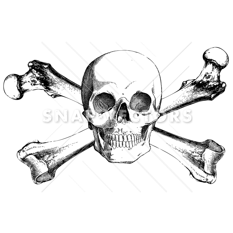 800x800 Sketch Clipart Skull And Crossbones