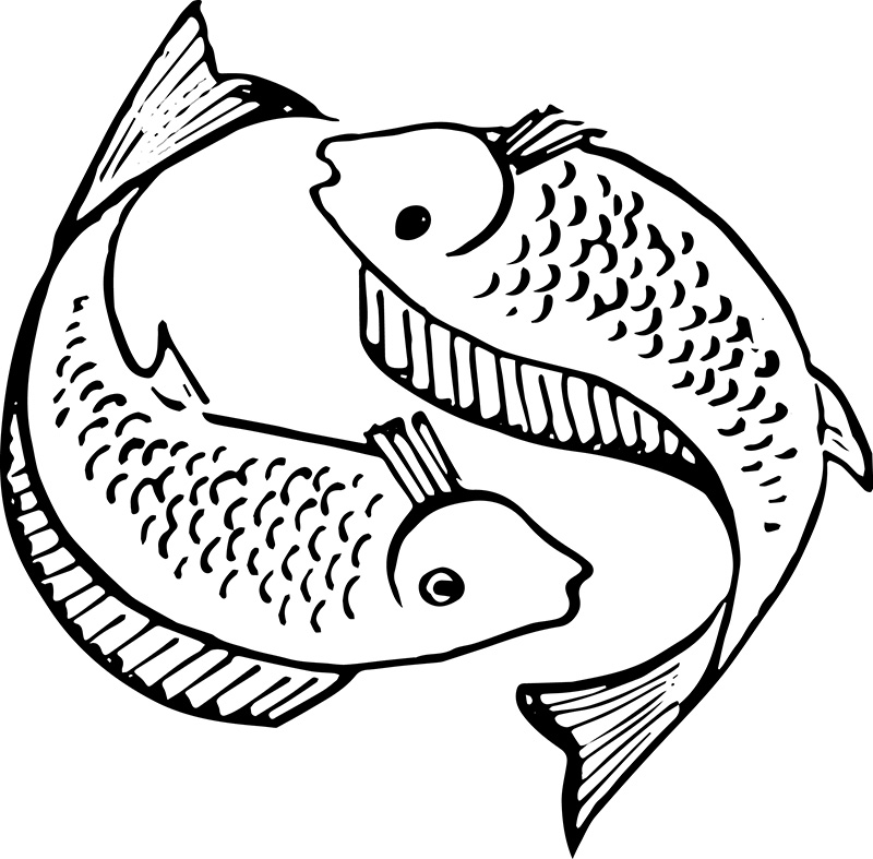 800x787 Christian Fish Symbol Vectorized Download Free Now!