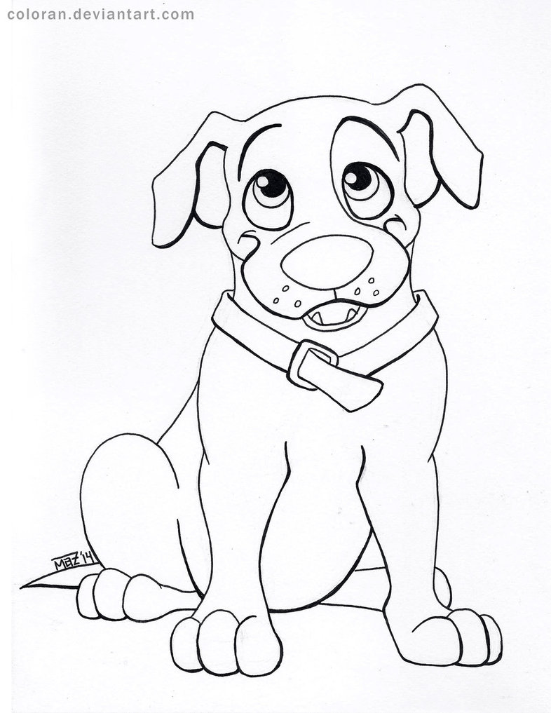 786x1017 Pit Bull Puppy Line Art By Coloran