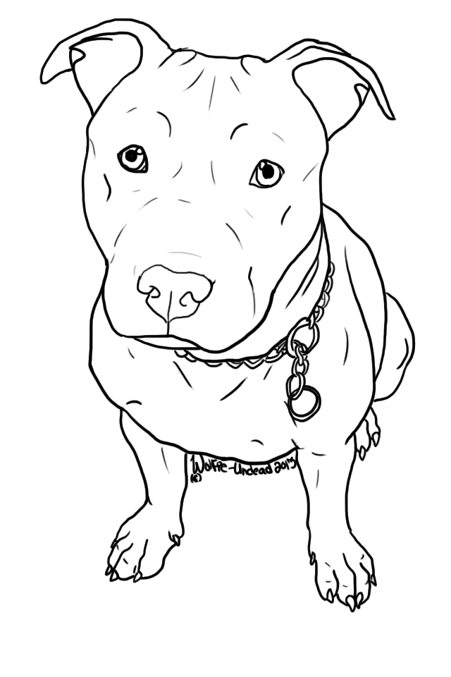 640x960 Free To Use Pit Bull Lineart! ^ ^ Please Read The Rules Before