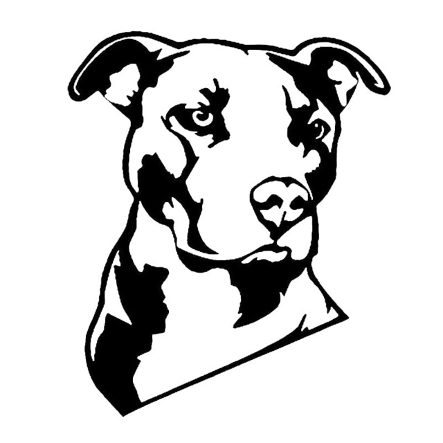 640x640 12.715.2cm Pitbull Creative Cartoon Dog Vinyl Decal Cool Animal