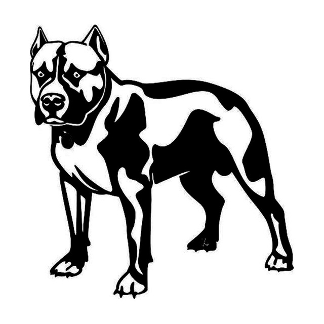 640x640 14.415cm Pitbull Dog Fashion Animal Car Sticker Classic Cartoon