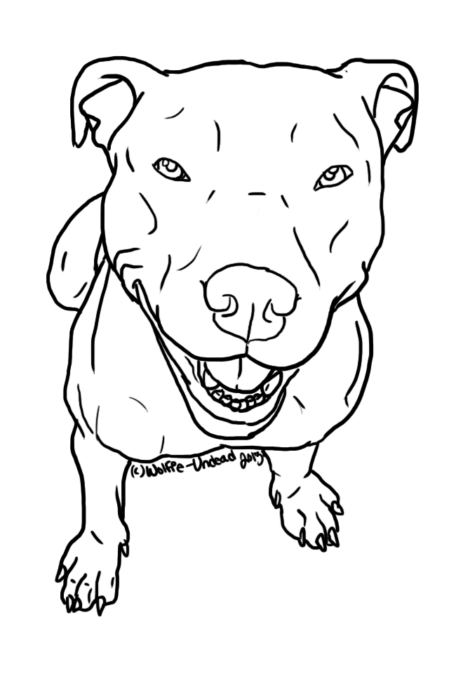 640x960 Pitbull Clipart Easy