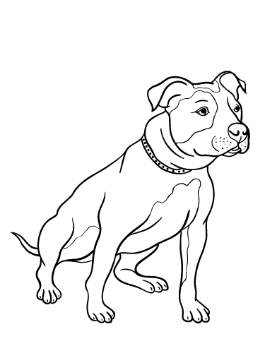 392x507 Red Nose Pitbull Coloring Sheet Cool Pitbull Coloring Pages