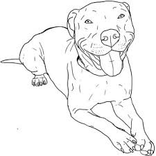 225x225 Resultado De Imagem Para How To Draw A Pitbull Face Art