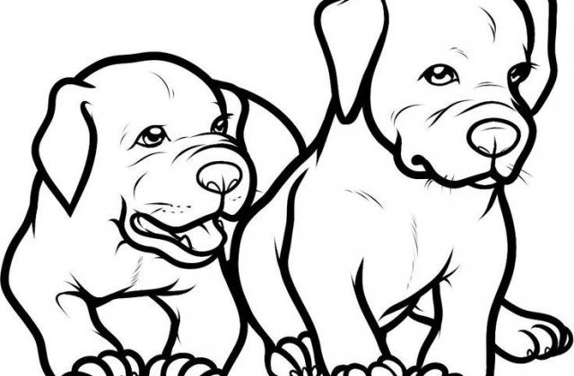 640x420 Tag For Baby And Dog Drawings Only Pitbull Dogs Coloring Pages