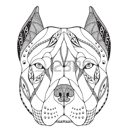 434x450 602 Pitbull Cliparts, Stock Vector And Royalty Free Pitbull