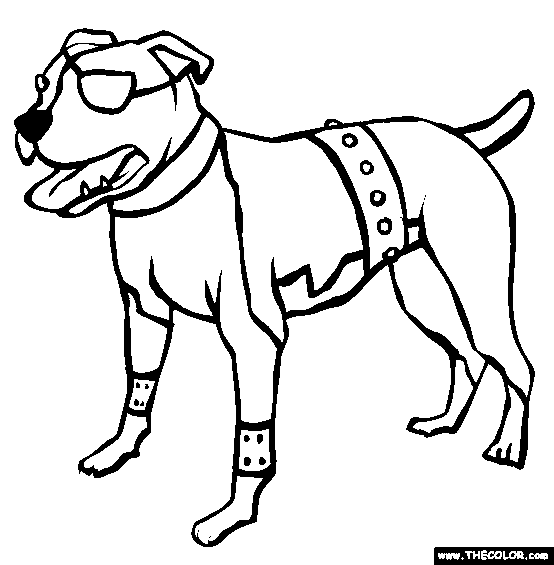 554x565 American Pit Bull Terrier Coloring Page Free And Coloring Pages