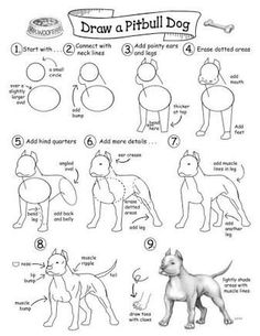 236x305 Gang Of Five