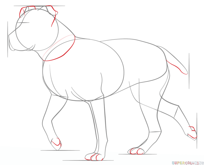 712x575 How To Draw A Pitbull Step By Step. Drawing Tutorials For Kids