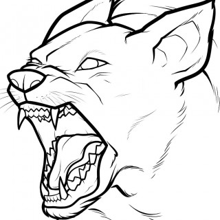 320x320 Tag For How To Draw A Puppies Step By Step Step By Best Photos