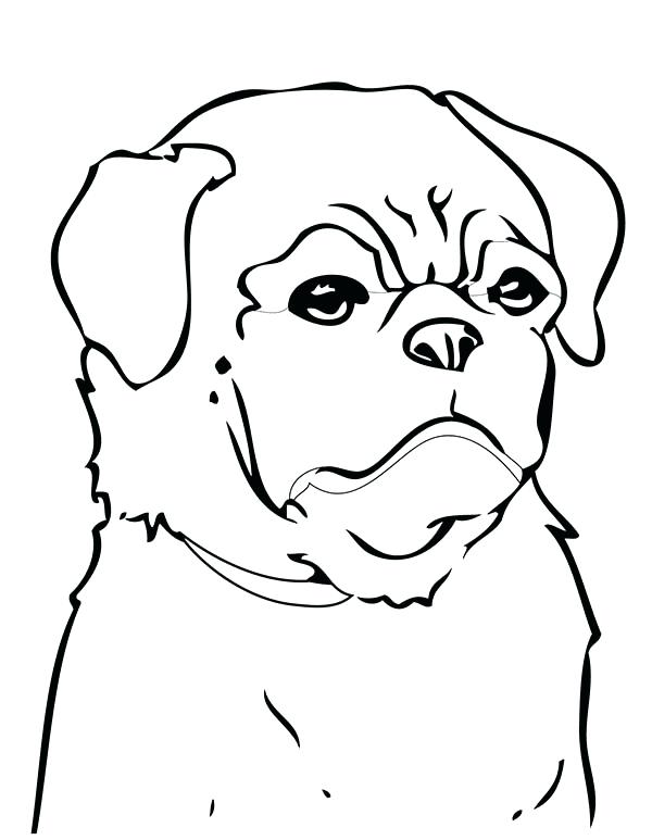 600x773 Pitbull Coloring Page Pug Coloring Page Pitbull Face Coloring