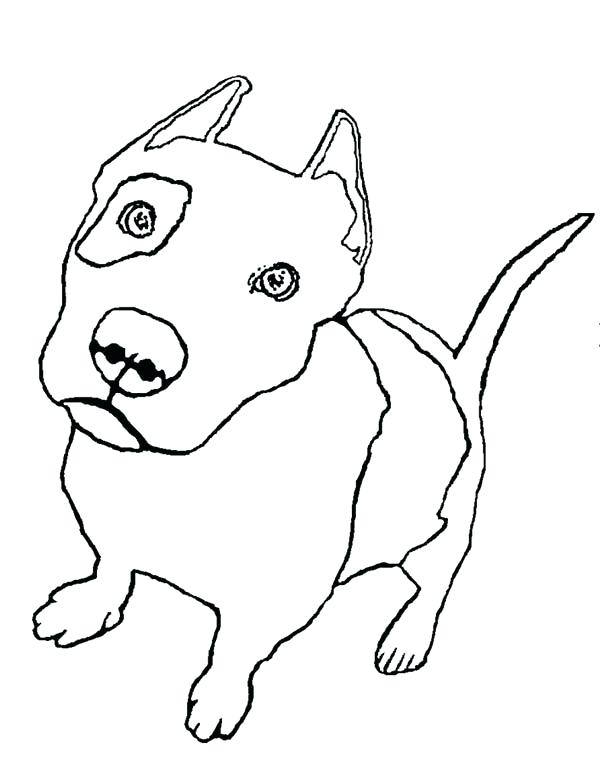 600x782 Pitbull Coloring Pages Coloring Pages New Download Coloring Pages