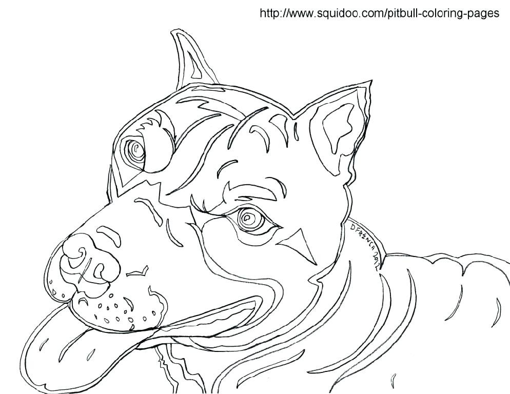994x768 Pitbull Coloring Pages Pit Bull Coloring Pages Pitbull Puppy