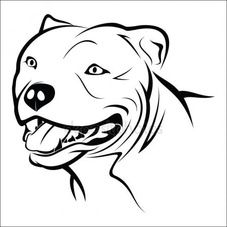 450x450 Pitbull Vector Stock Vectors, Royalty Free Pitbull Vector