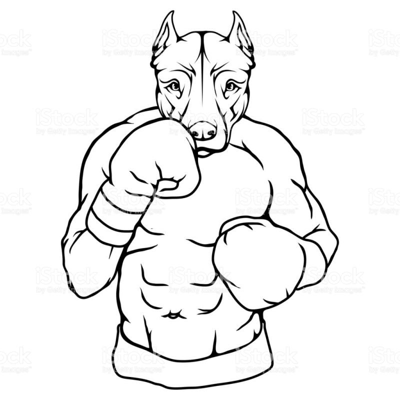 800x800 Pitbull Clipart Black White