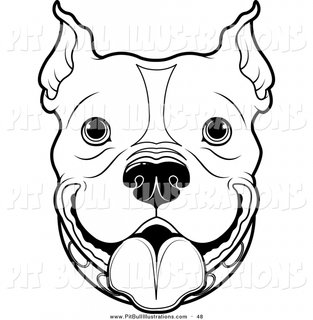 Pitbull Face Drawing at GetDrawings | Free download