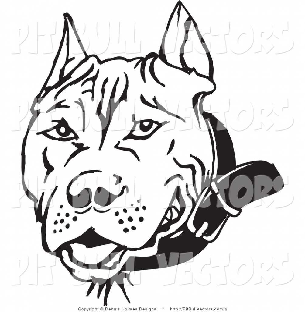 Pitbull Face Drawing at GetDrawings | Free download