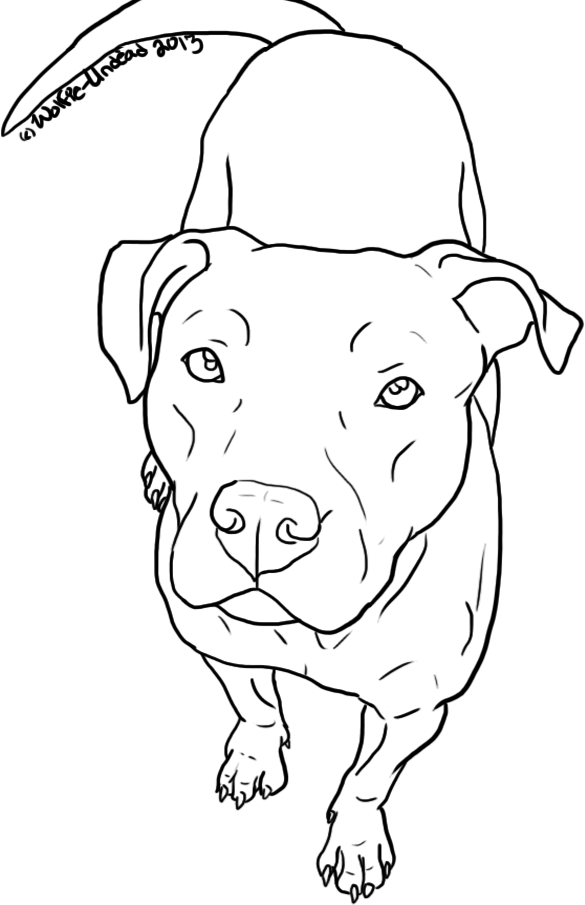 585x905 Free Pit Bull Line Art 14 By Wolfie Undead On Mozac