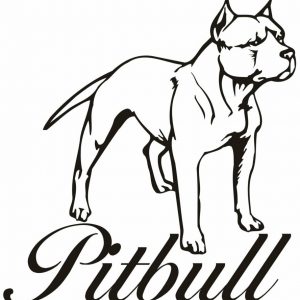 300x300 Pit Bull Drawing Adult