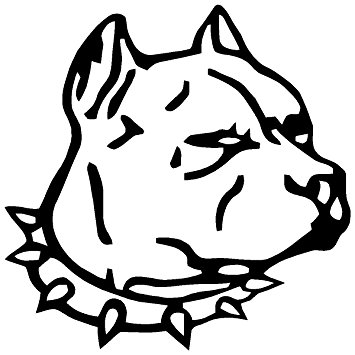 355x355 Pirate City Pitbull Dog Head Decal Window Sticker