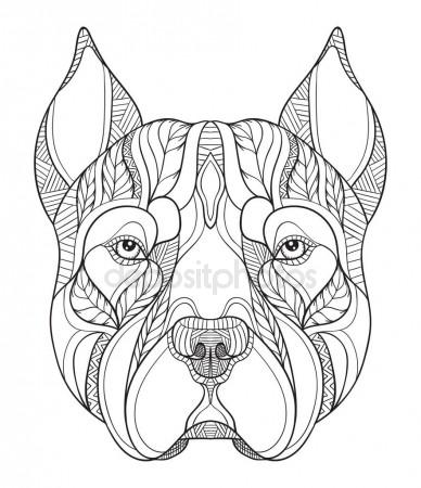 388x450 Pit Bull Terrier Head Zentangle Stylized, Vector, Illustration