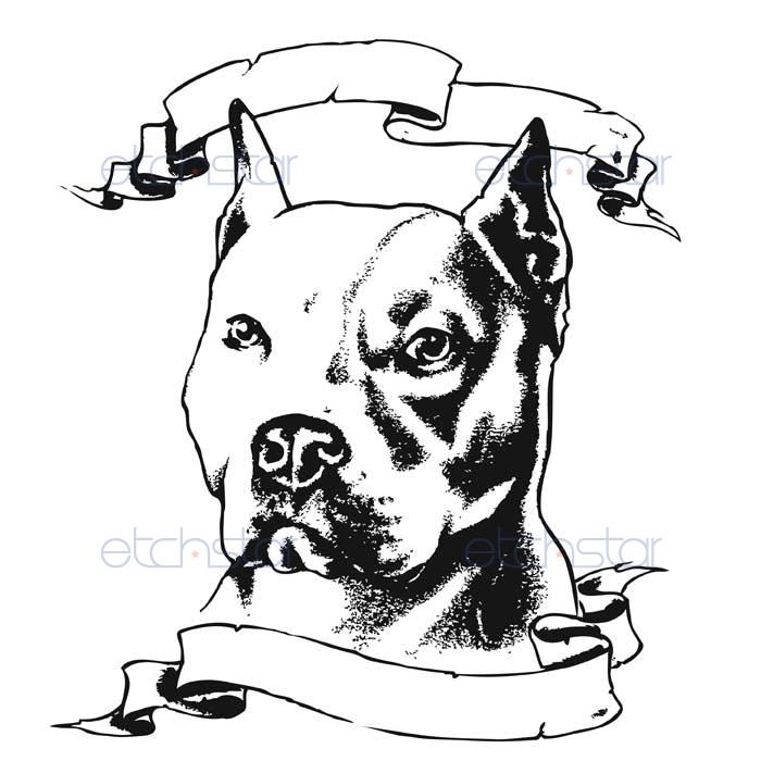 700x700 Pitbull Head Drawings Images Pitbull Drawings