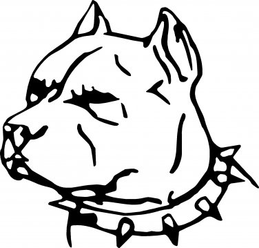 Pitbull Head Drawing at GetDrawings | Free download