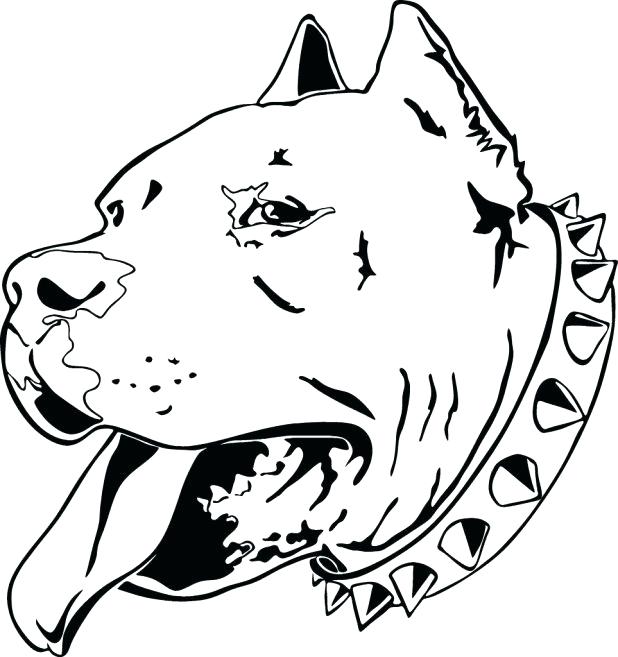 618x657 Pitbull Coloring Page Elegant Puppy Coloring Pages Pitbull Sugar