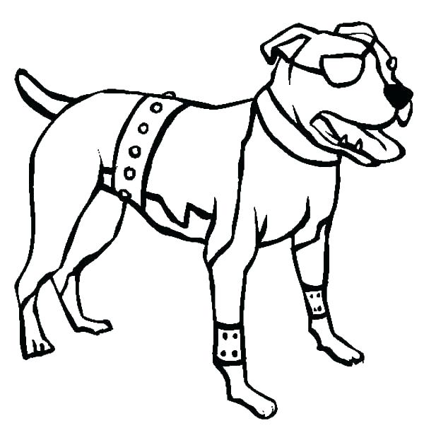600x612 Pitbull Coloring Page Free Pit Bull Line Art By Realistic Pitbull