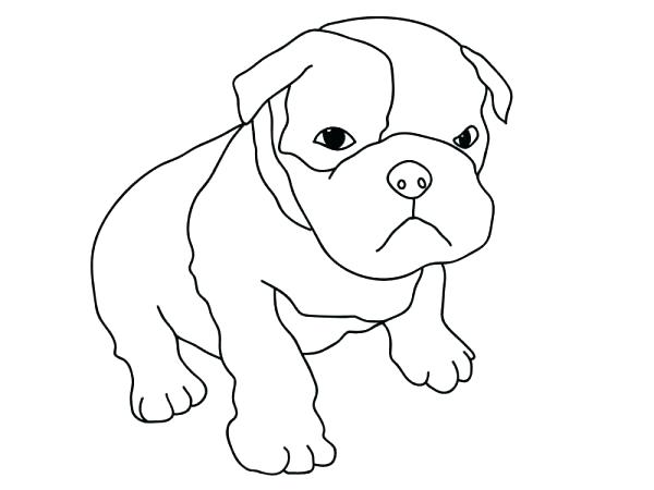 600x450 Pitbull Coloring Page Unique Coloring Pages Free Download Cute