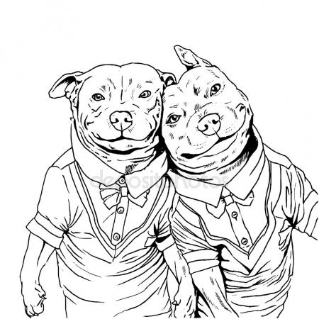 450x450 Pitbull Stock Vectors, Royalty Free Pitbull Illustrations